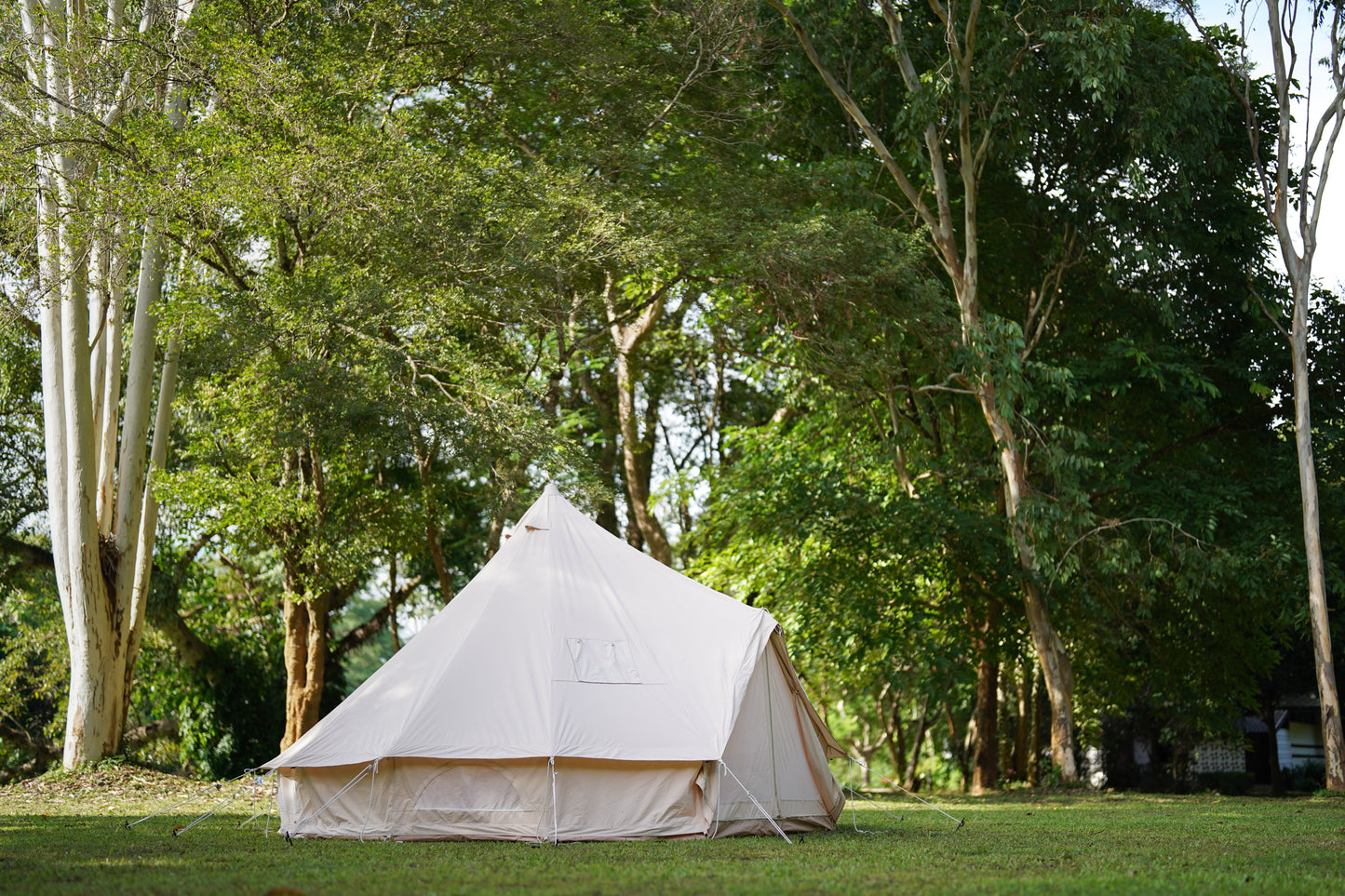 钟形帐篷 3 和 4 M。 